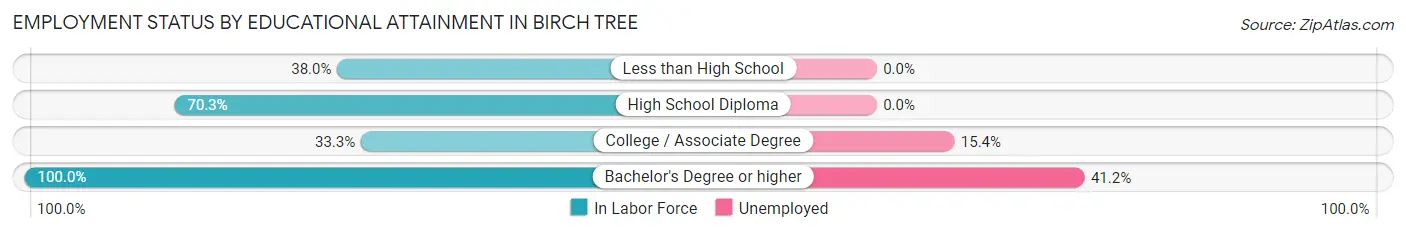 Employment Status by Educational Attainment in Birch Tree