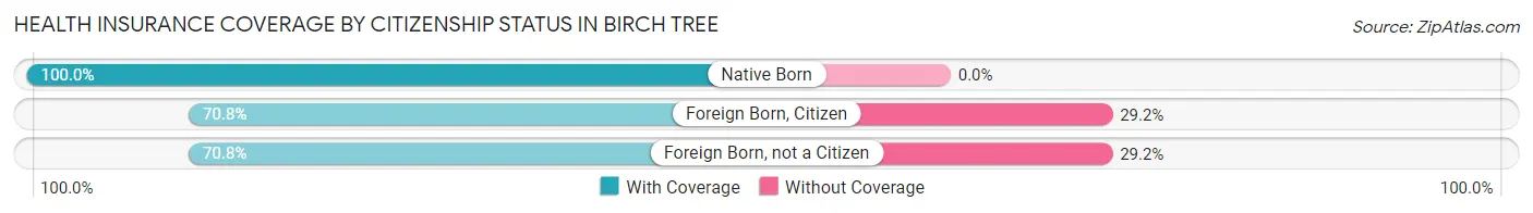 Health Insurance Coverage by Citizenship Status in Birch Tree