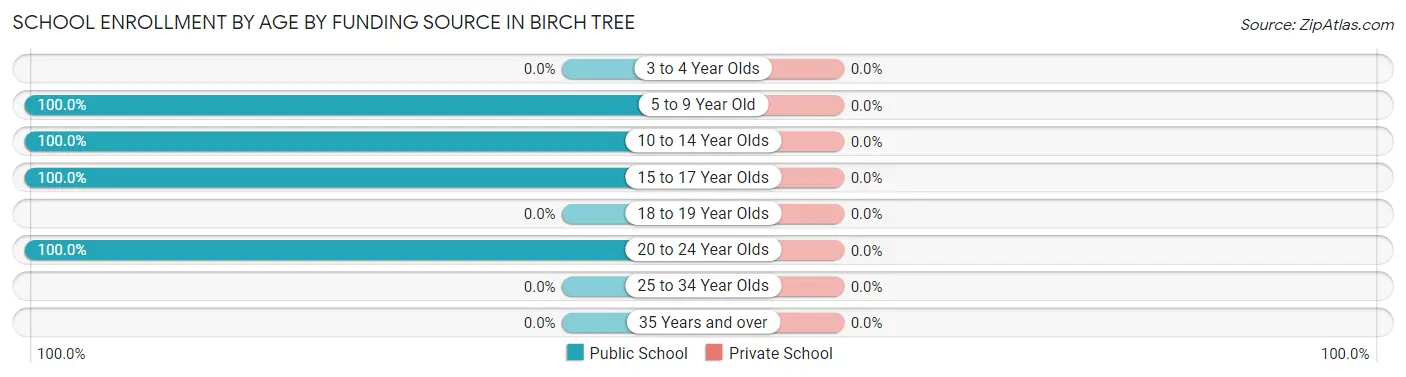 School Enrollment by Age by Funding Source in Birch Tree