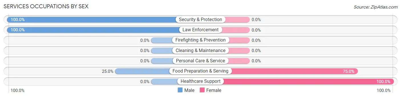 Services Occupations by Sex in Birch Tree
