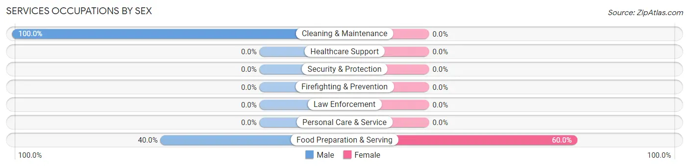Services Occupations by Sex in Blythedale
