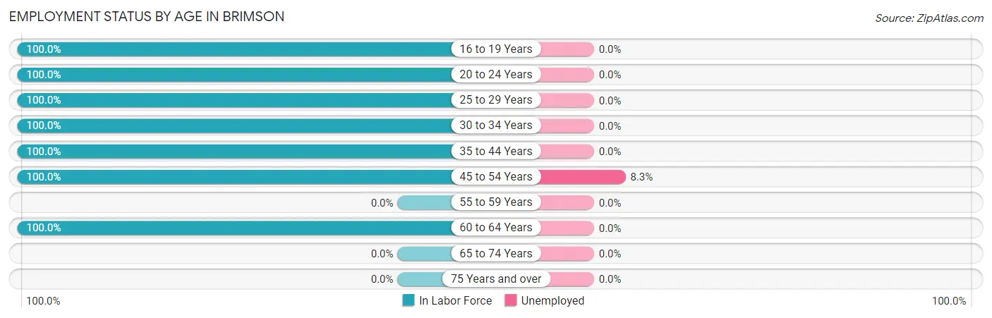 Employment Status by Age in Brimson