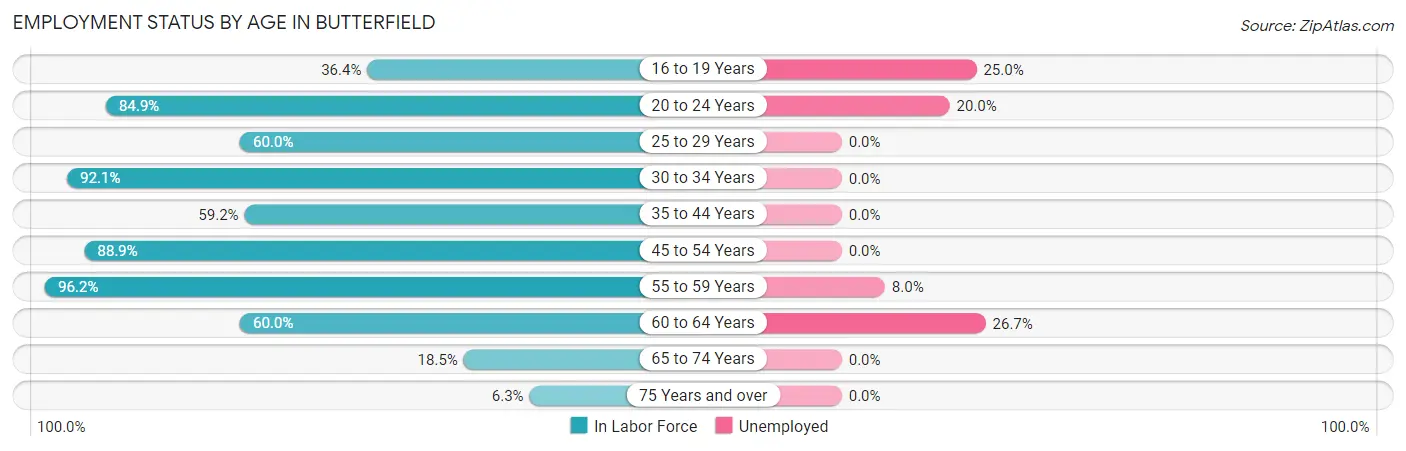 Employment Status by Age in Butterfield