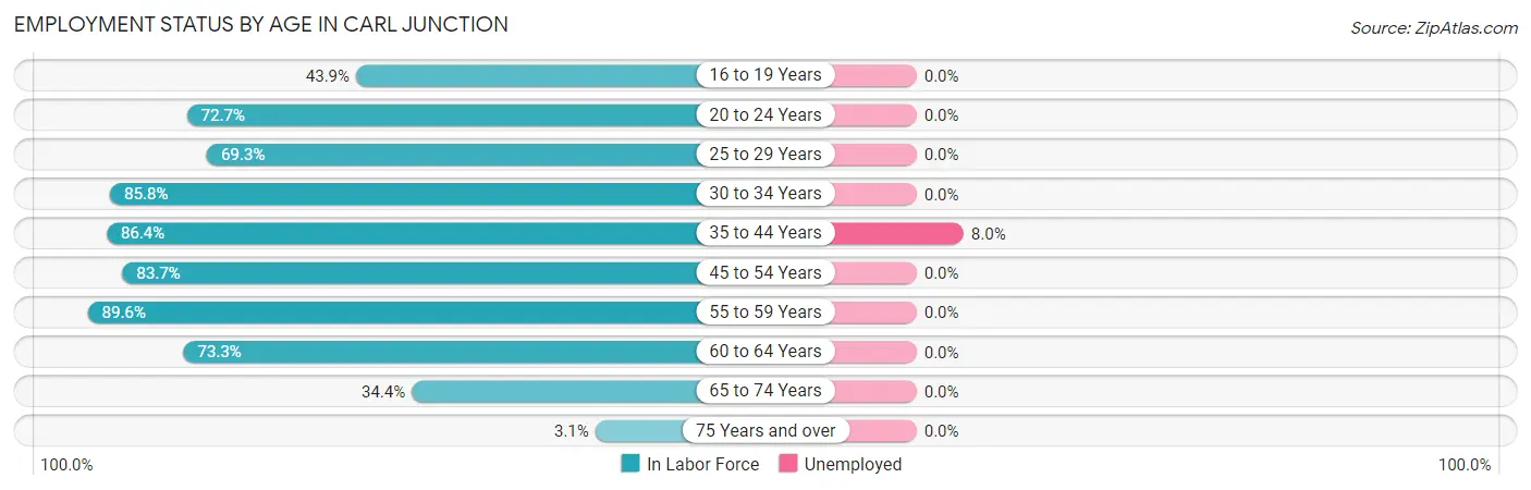 Employment Status by Age in Carl Junction
