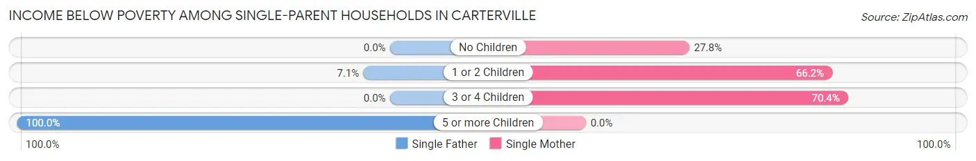 Income Below Poverty Among Single-Parent Households in Carterville