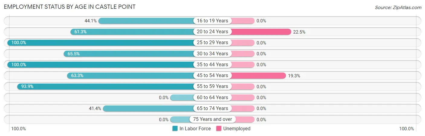 Employment Status by Age in Castle Point