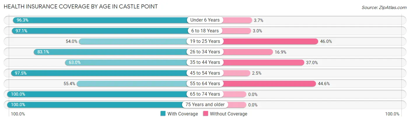 Health Insurance Coverage by Age in Castle Point