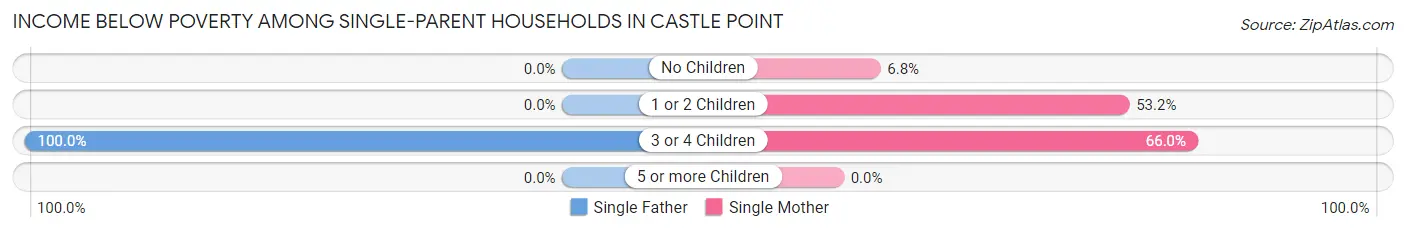Income Below Poverty Among Single-Parent Households in Castle Point