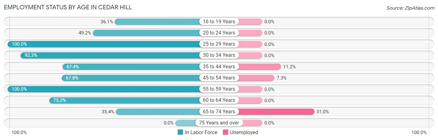 Employment Status by Age in Cedar Hill