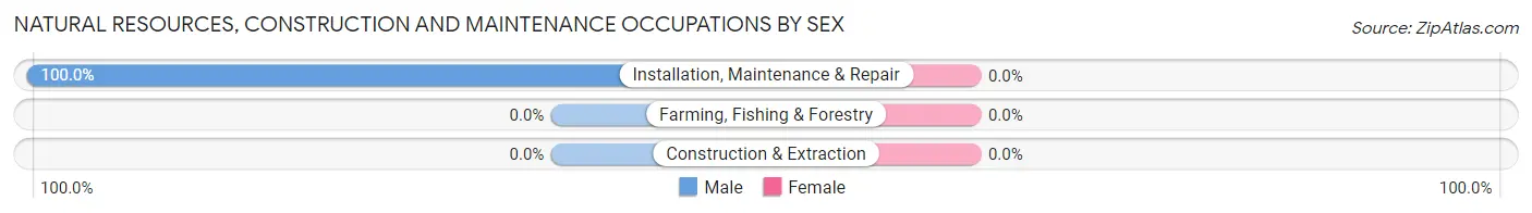 Natural Resources, Construction and Maintenance Occupations by Sex in Chain O Lakes