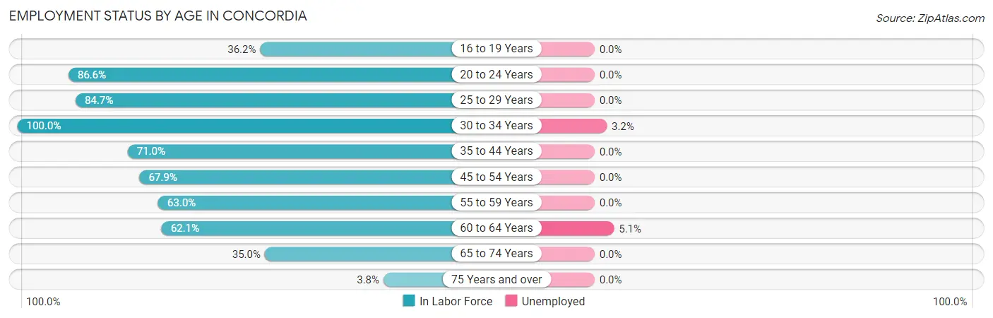 Employment Status by Age in Concordia