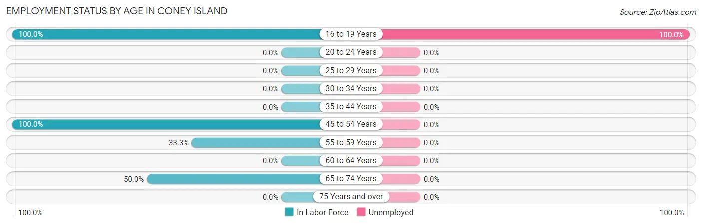 Employment Status by Age in Coney Island