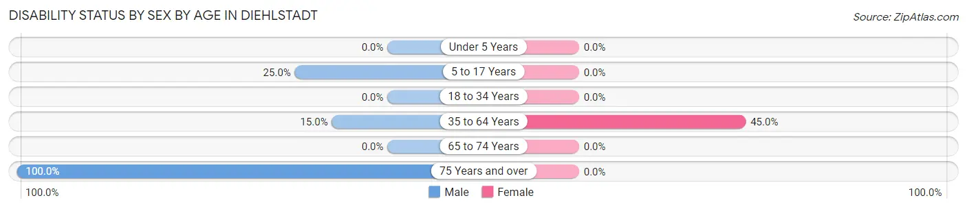 Disability Status by Sex by Age in Diehlstadt