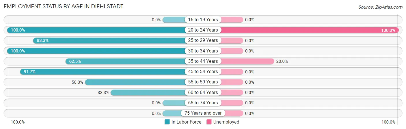 Employment Status by Age in Diehlstadt