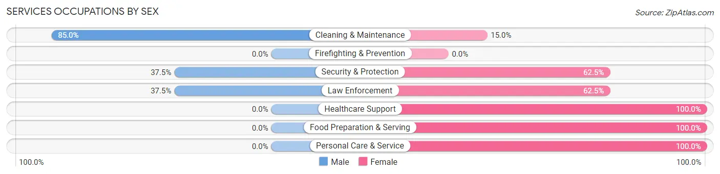 Services Occupations by Sex in Ellington