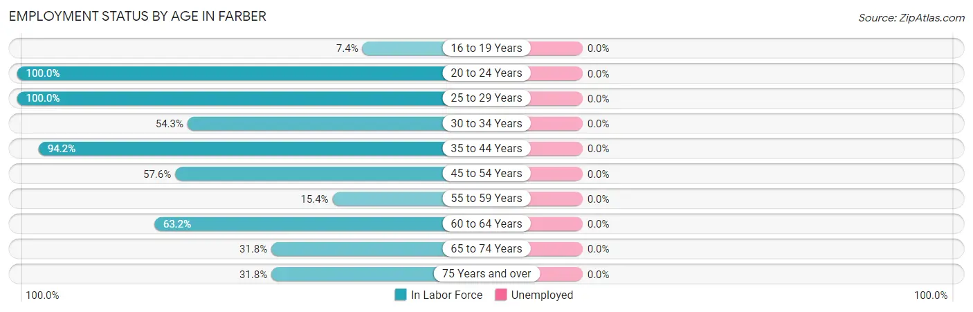 Employment Status by Age in Farber