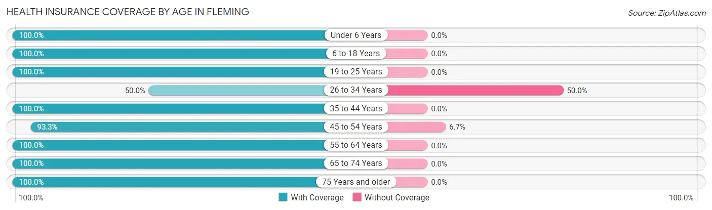 Health Insurance Coverage by Age in Fleming