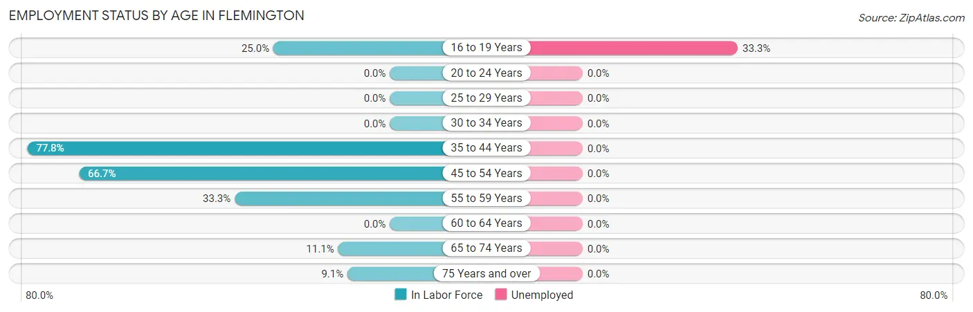 Employment Status by Age in Flemington