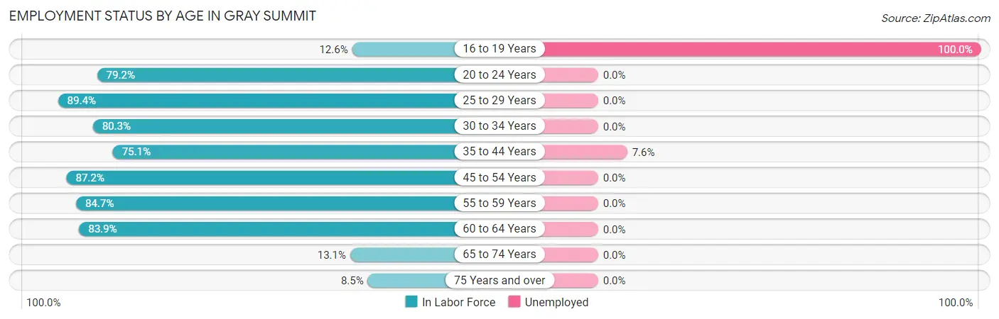 Employment Status by Age in Gray Summit