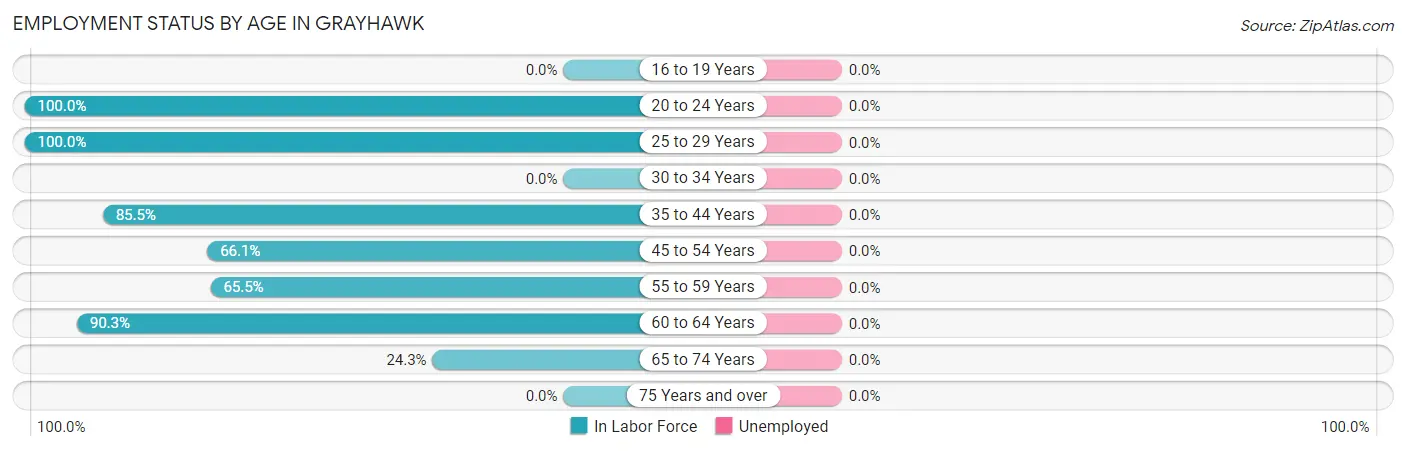 Employment Status by Age in Grayhawk