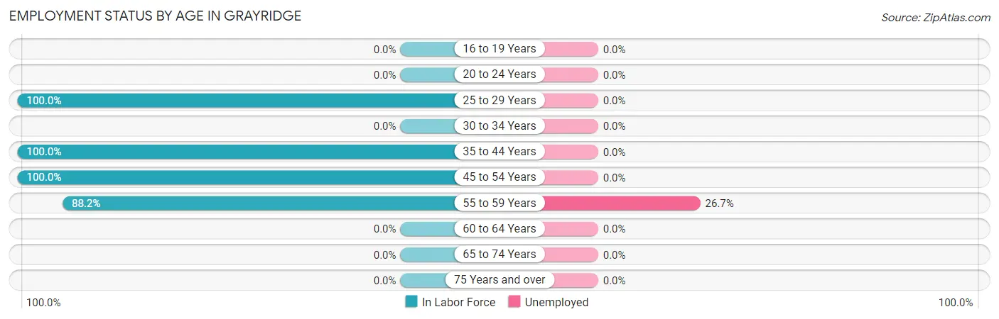 Employment Status by Age in Grayridge