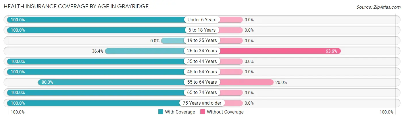 Health Insurance Coverage by Age in Grayridge