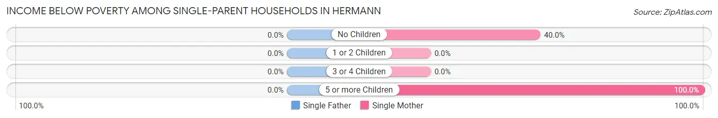 Income Below Poverty Among Single-Parent Households in Hermann
