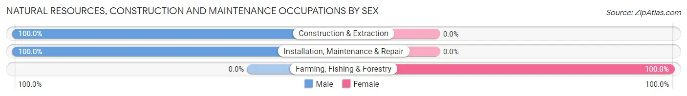 Natural Resources, Construction and Maintenance Occupations by Sex in Highlandville