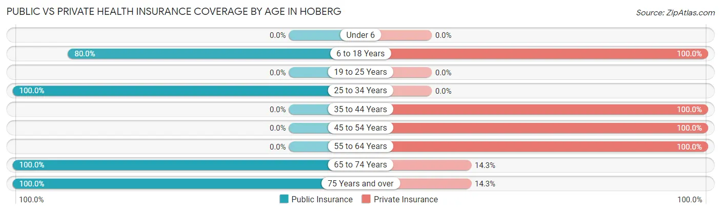 Public vs Private Health Insurance Coverage by Age in Hoberg