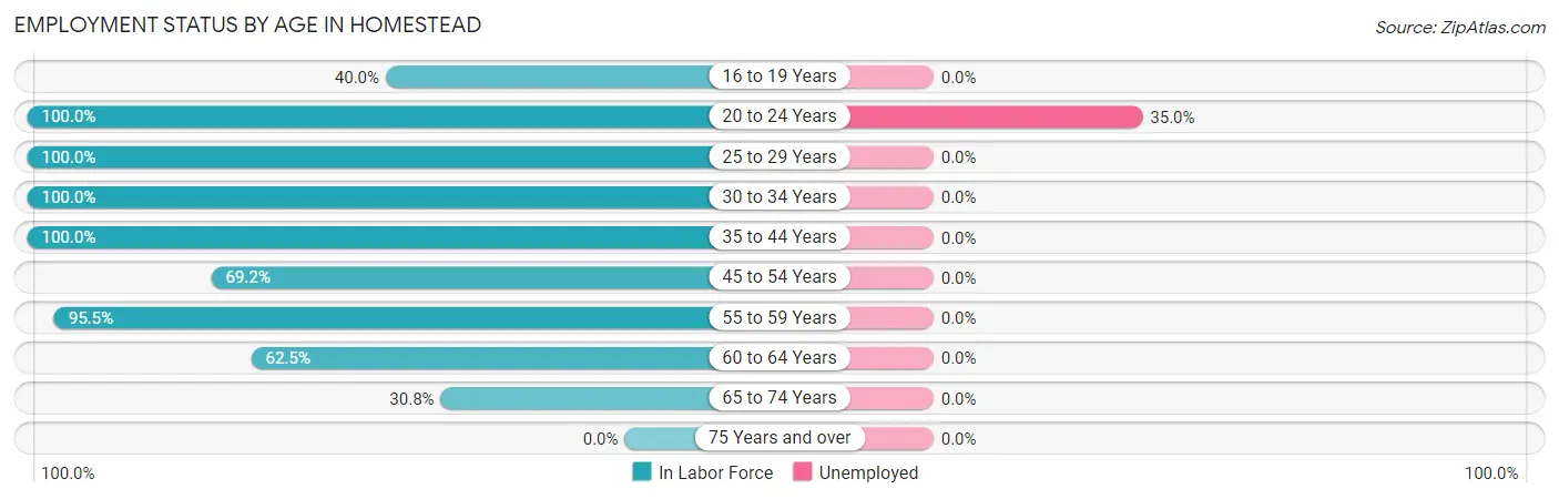 Employment Status by Age in Homestead