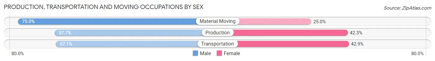 Production, Transportation and Moving Occupations by Sex in Homestead