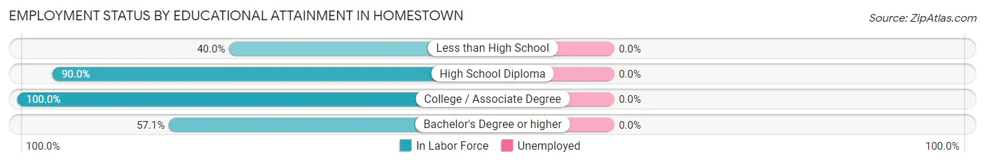 Employment Status by Educational Attainment in Homestown
