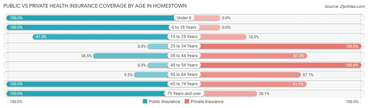 Public vs Private Health Insurance Coverage by Age in Homestown