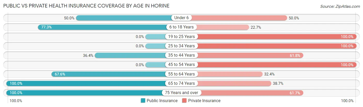Public vs Private Health Insurance Coverage by Age in Horine
