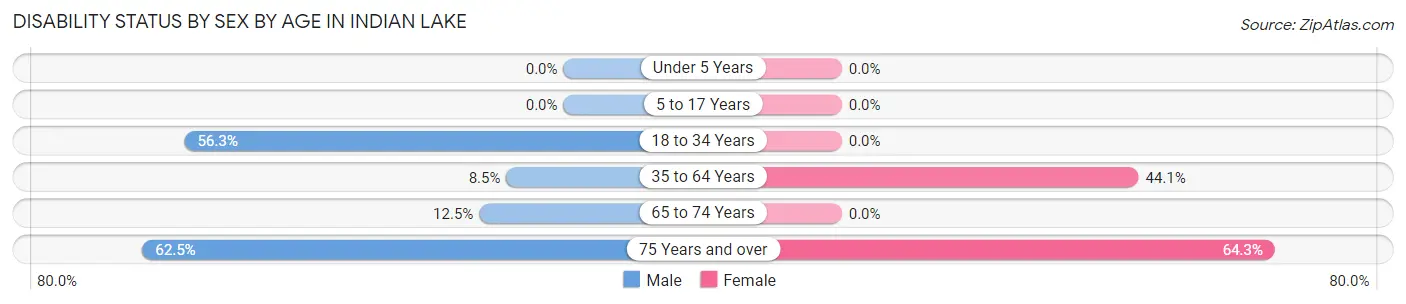 Disability Status by Sex by Age in Indian Lake