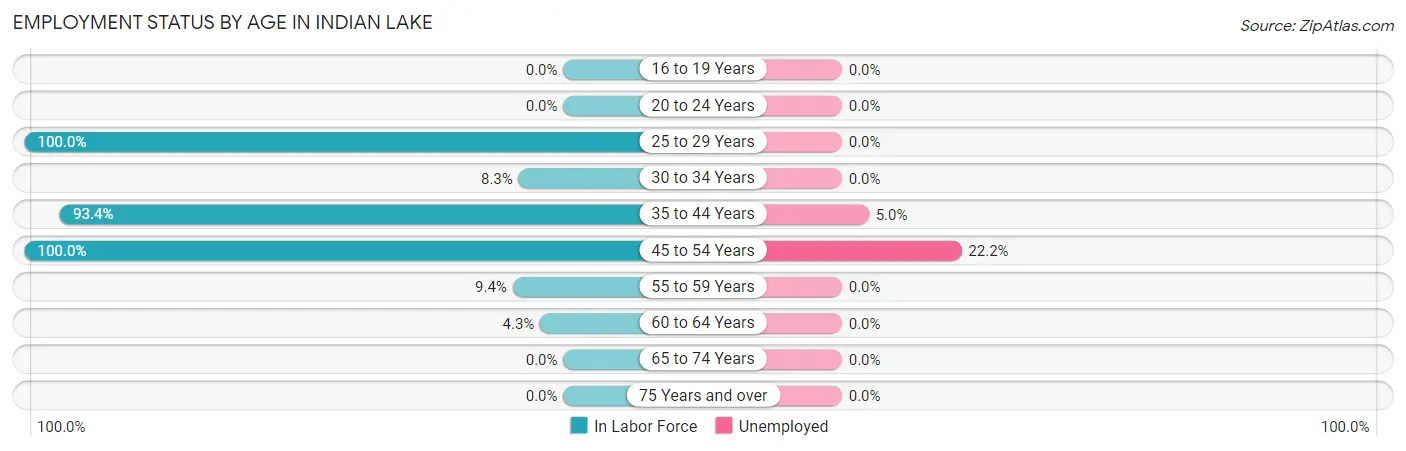 Employment Status by Age in Indian Lake