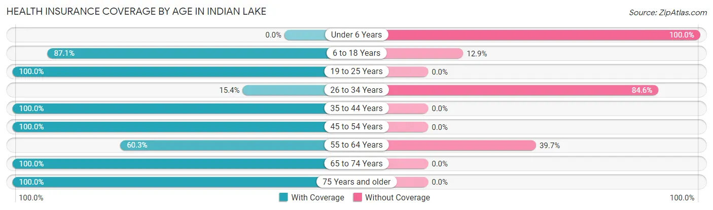 Health Insurance Coverage by Age in Indian Lake