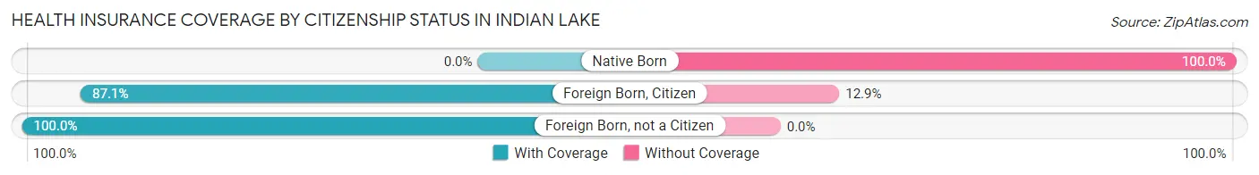 Health Insurance Coverage by Citizenship Status in Indian Lake