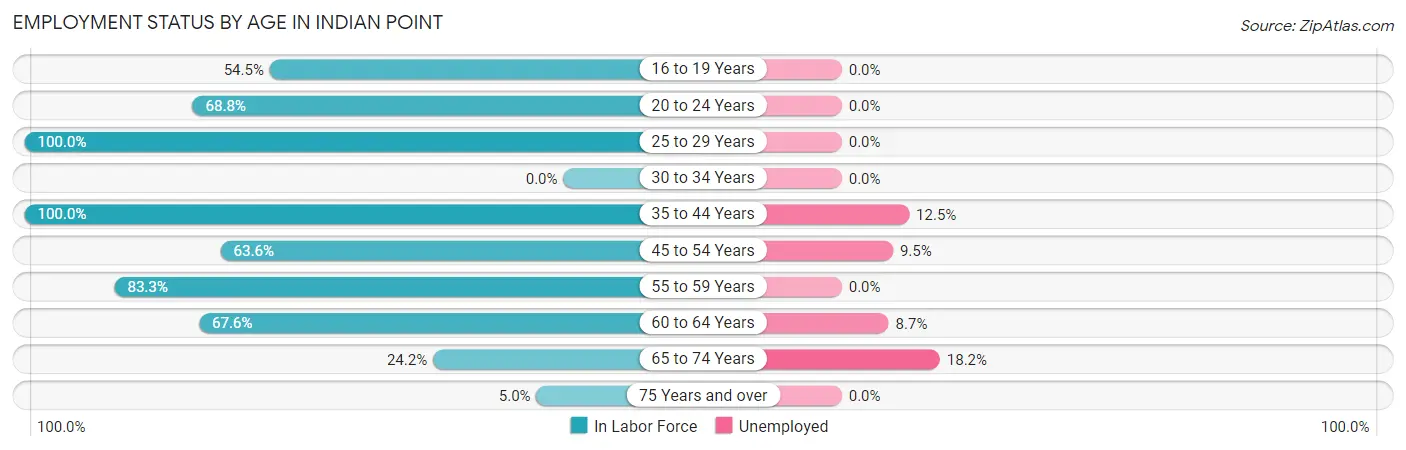 Employment Status by Age in Indian Point