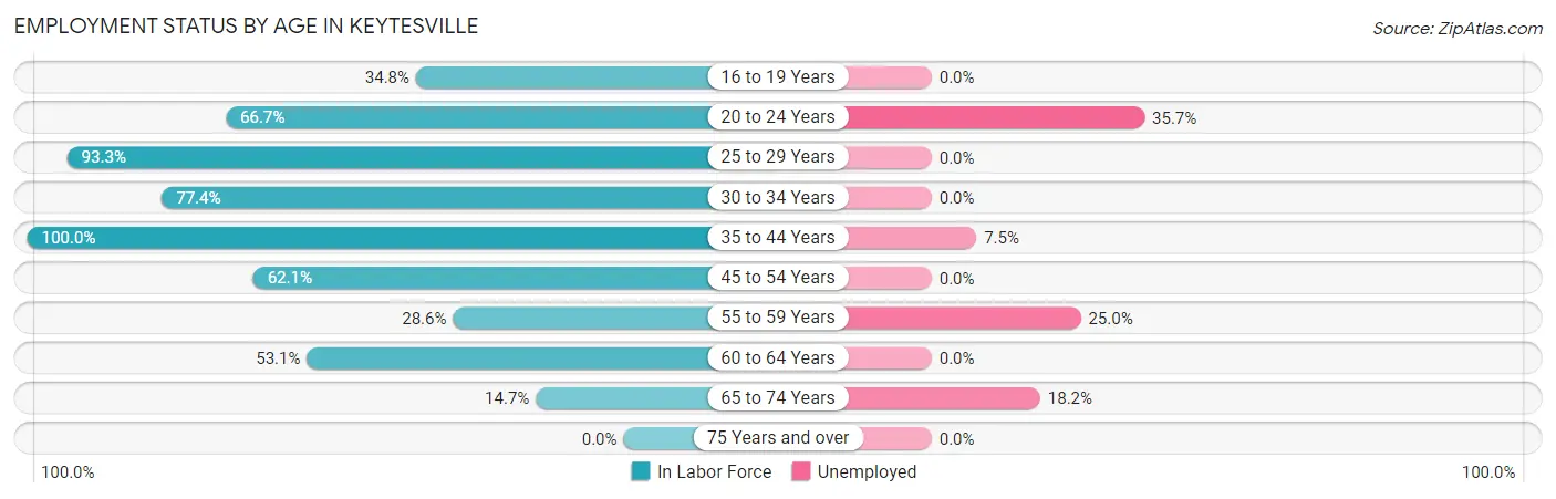 Employment Status by Age in Keytesville