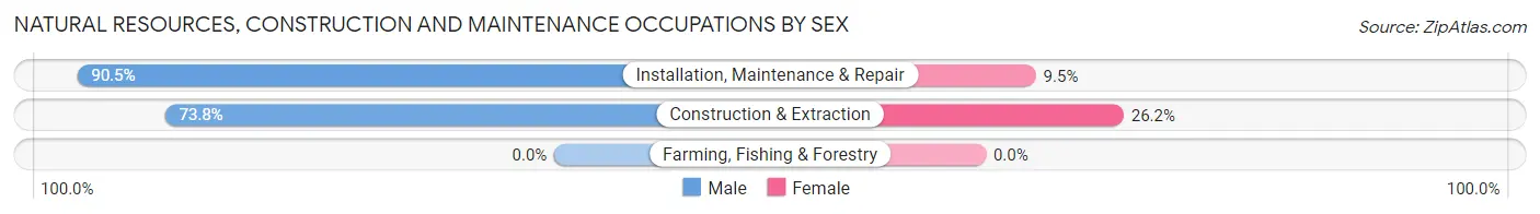 Natural Resources, Construction and Maintenance Occupations by Sex in Kimberling City