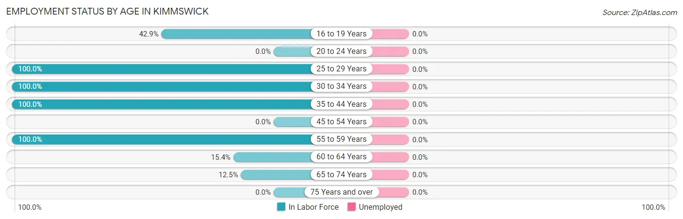 Employment Status by Age in Kimmswick