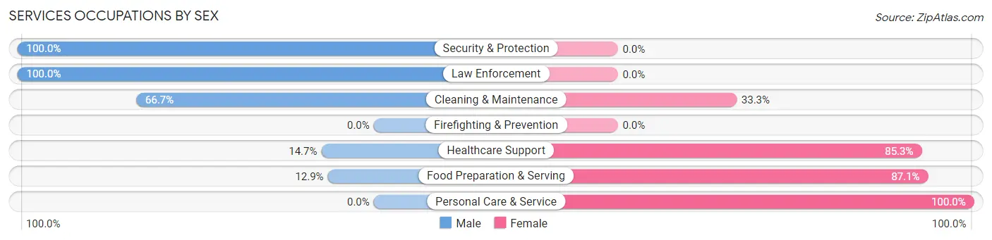 Services Occupations by Sex in King City