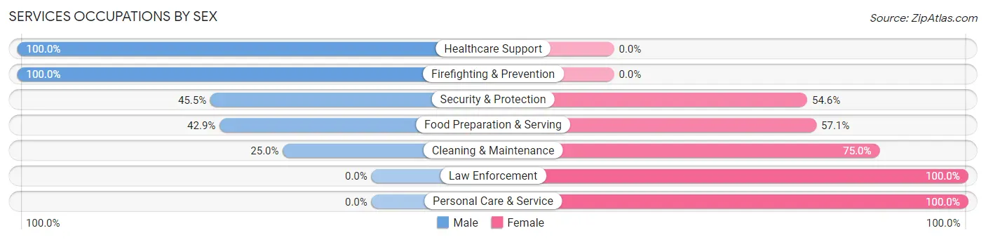 Services Occupations by Sex in La Plata