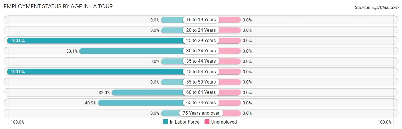 Employment Status by Age in La Tour