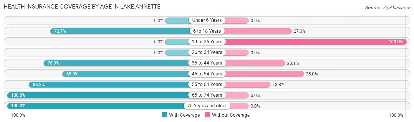 Health Insurance Coverage by Age in Lake Annette