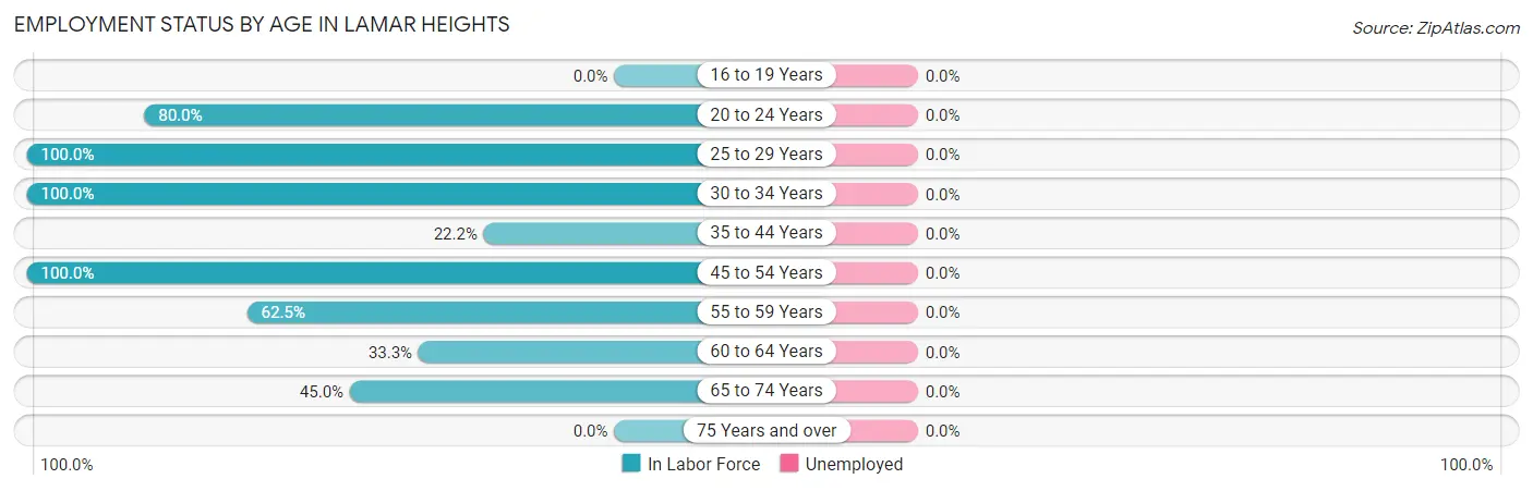 Employment Status by Age in Lamar Heights