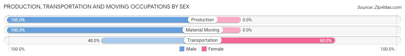 Production, Transportation and Moving Occupations by Sex in Lamar Heights