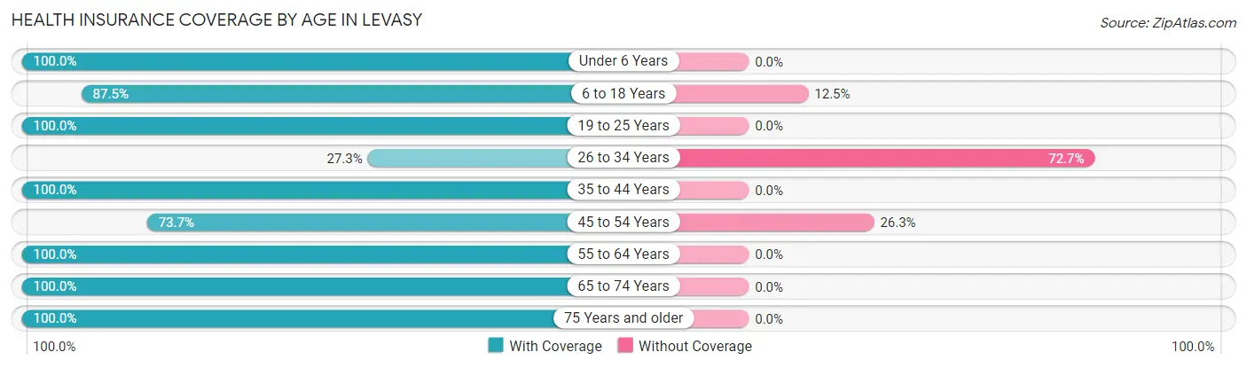 Health Insurance Coverage by Age in Levasy