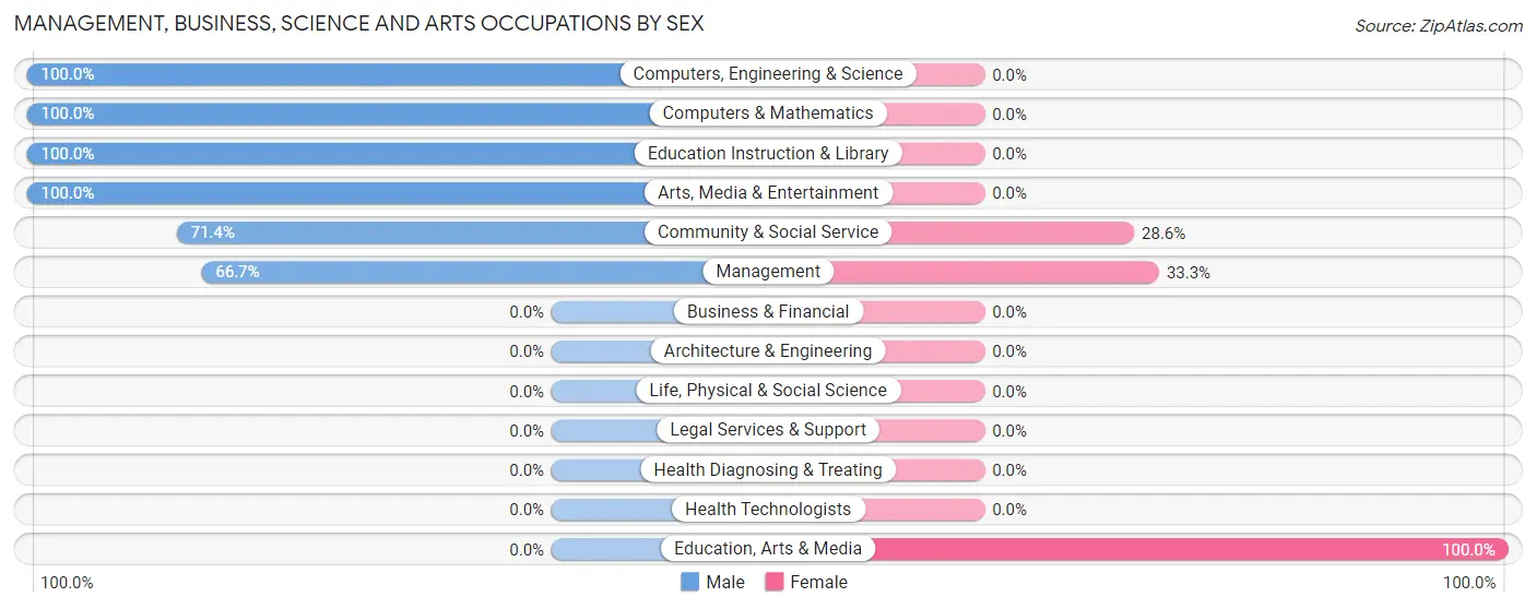 Management, Business, Science and Arts Occupations by Sex in Levasy